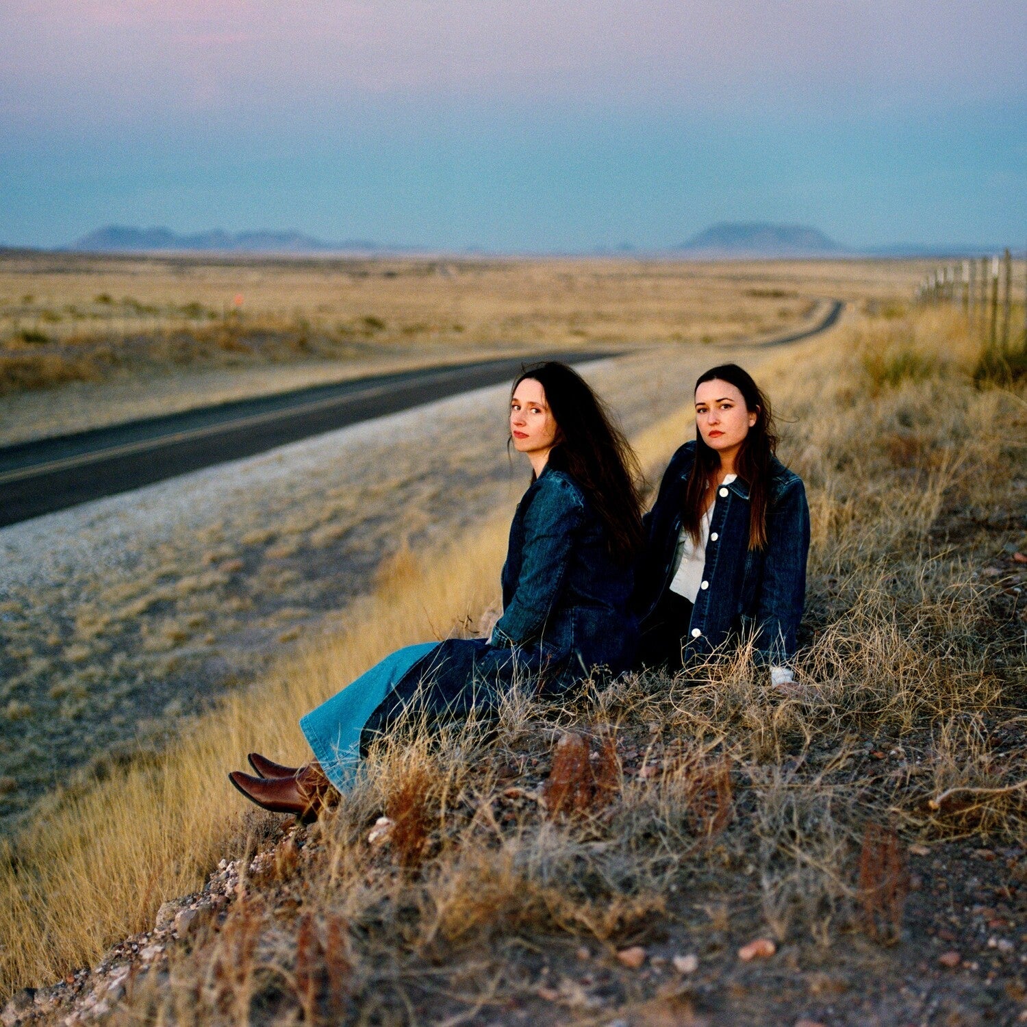 Plains - I Walked with You a Ways - Pink Clear (Pink Vinyl) - LEVITATION