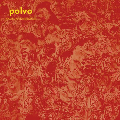 Polvo - Today's Active Lifestyles - LEVITATION
