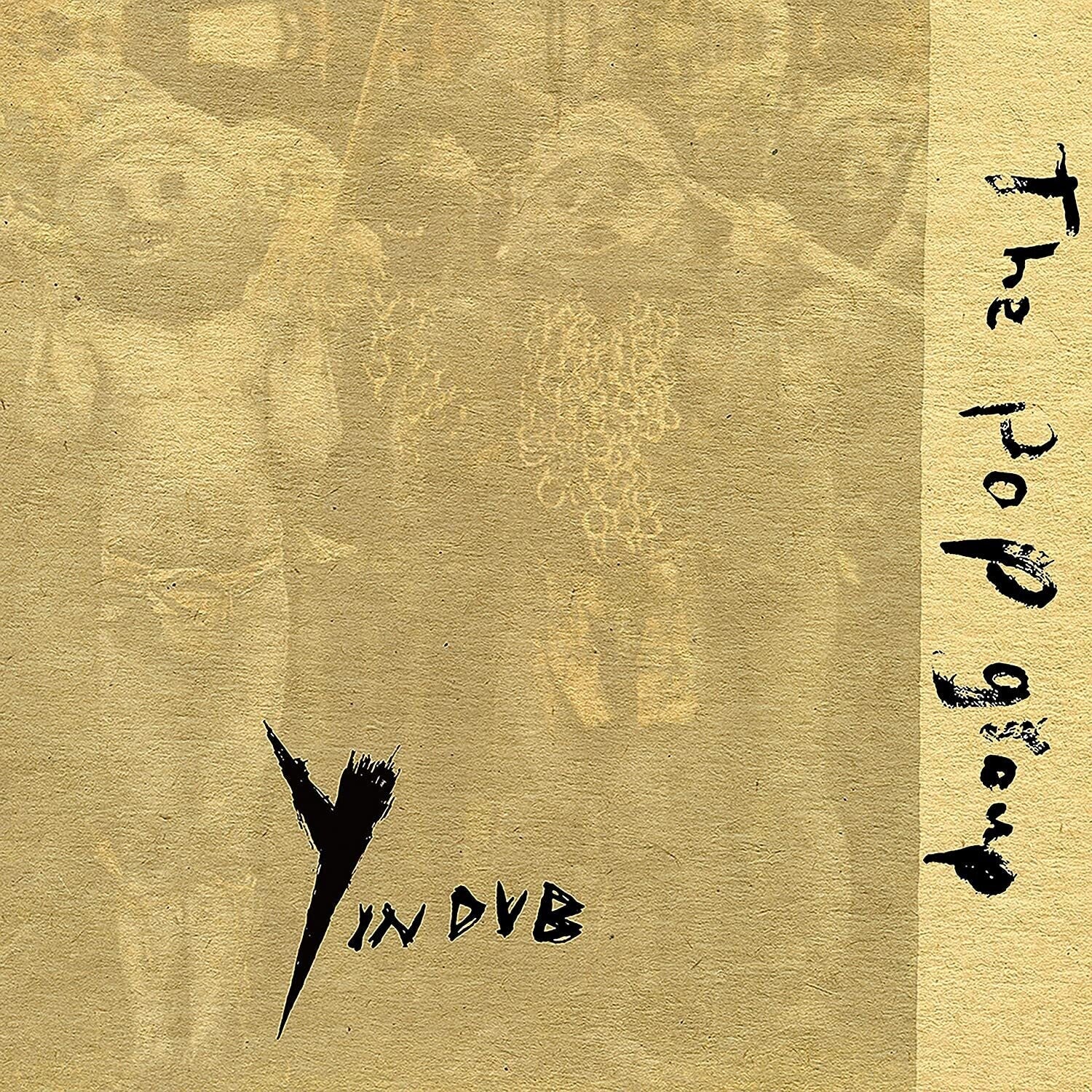 Pop Group - Y in Dub 2xLP - LEVITATION