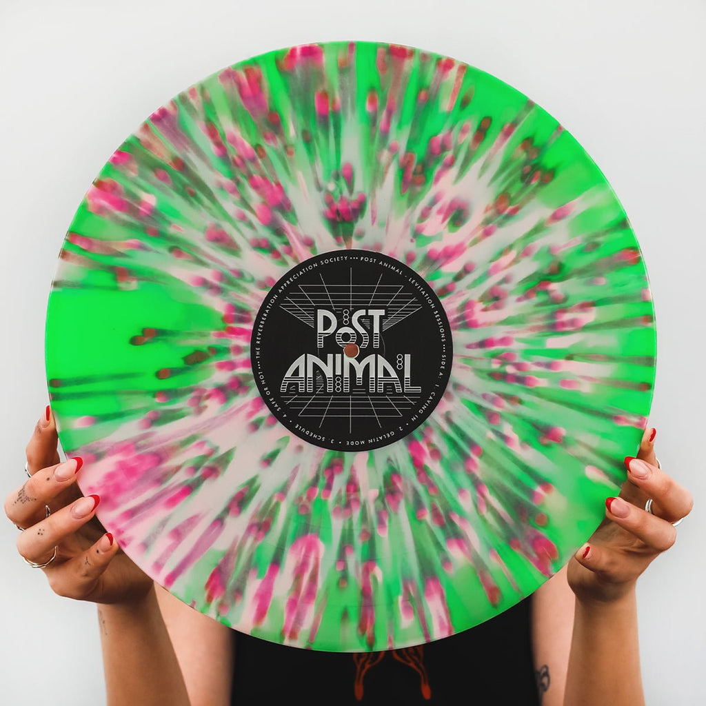 Post Animal - Levitation Sessions LP - LEVITATION