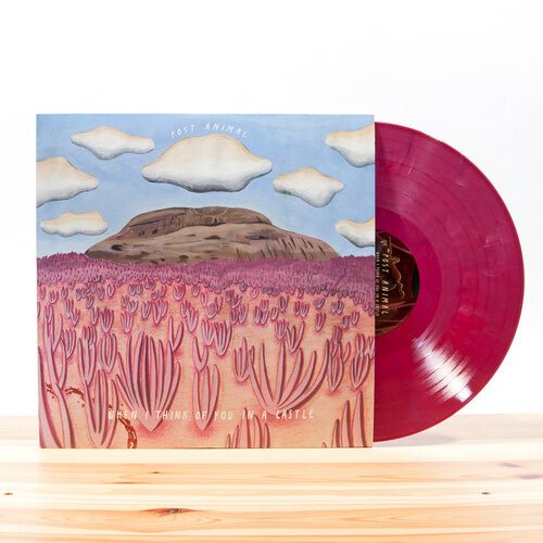 Post Animal - When I Think of You in a Castle - LEVITATION