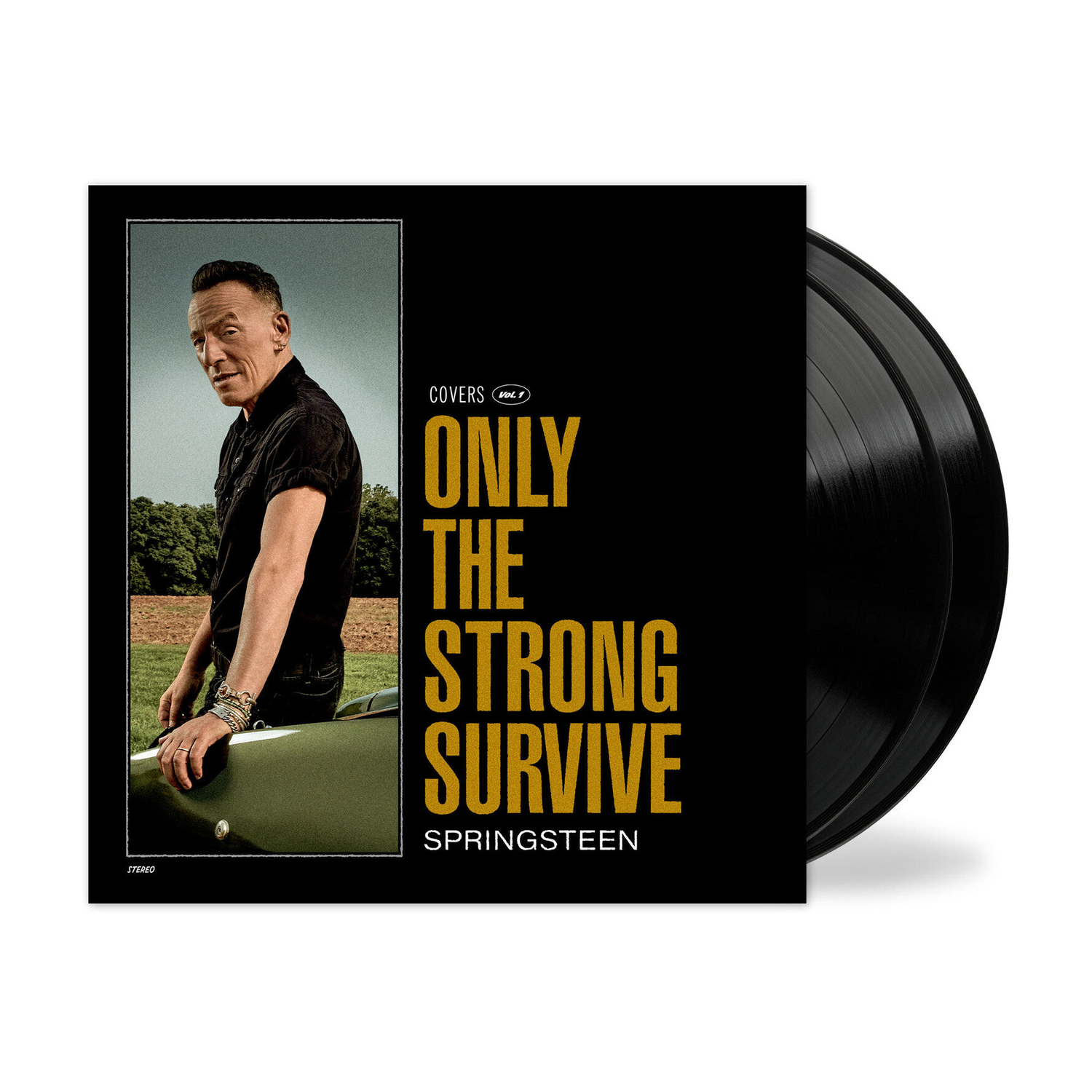 Bruce Springsteen - Only The Strong Survive 2xLP