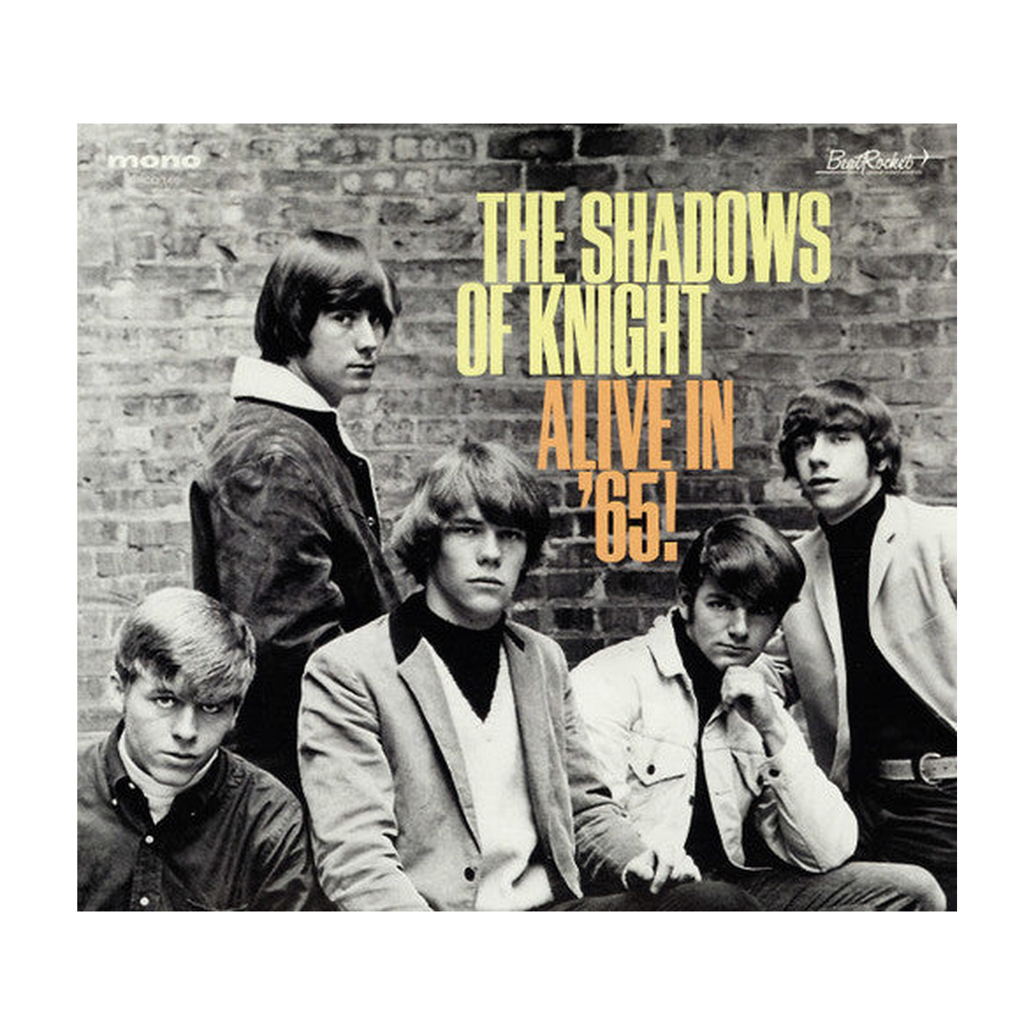 Shadows of Knight - Alive in '65