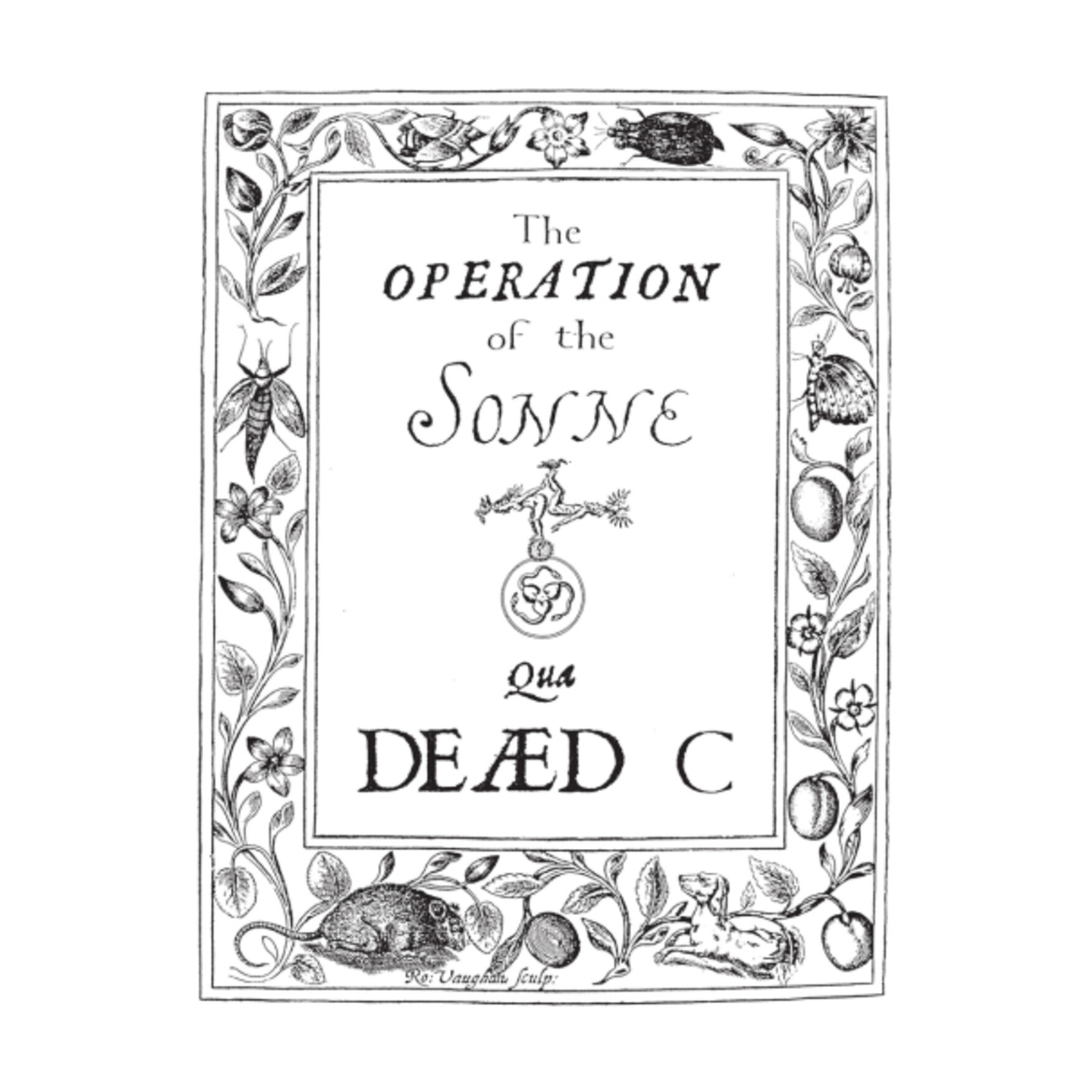 Dead C - Operation Of The Sonne