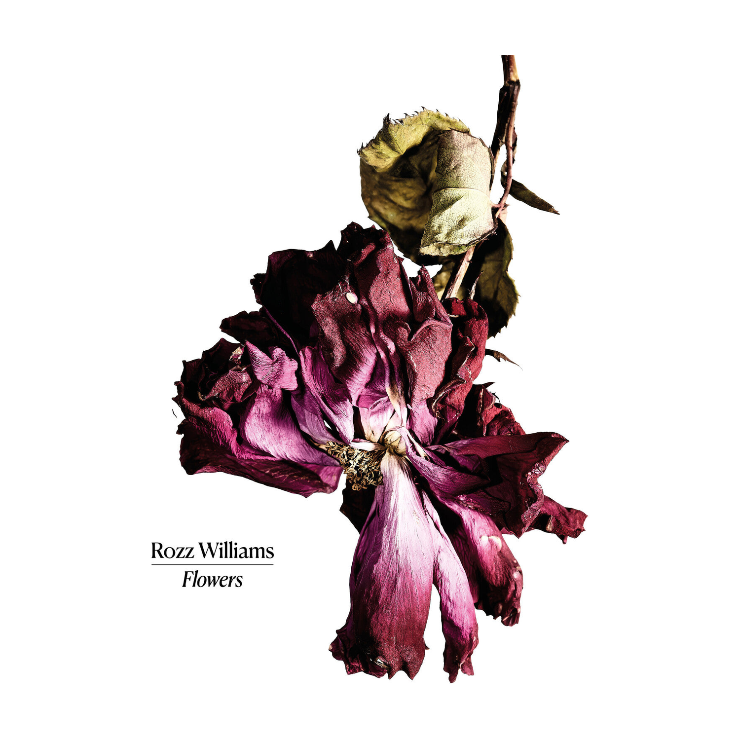 Rozz Williams - Flowers