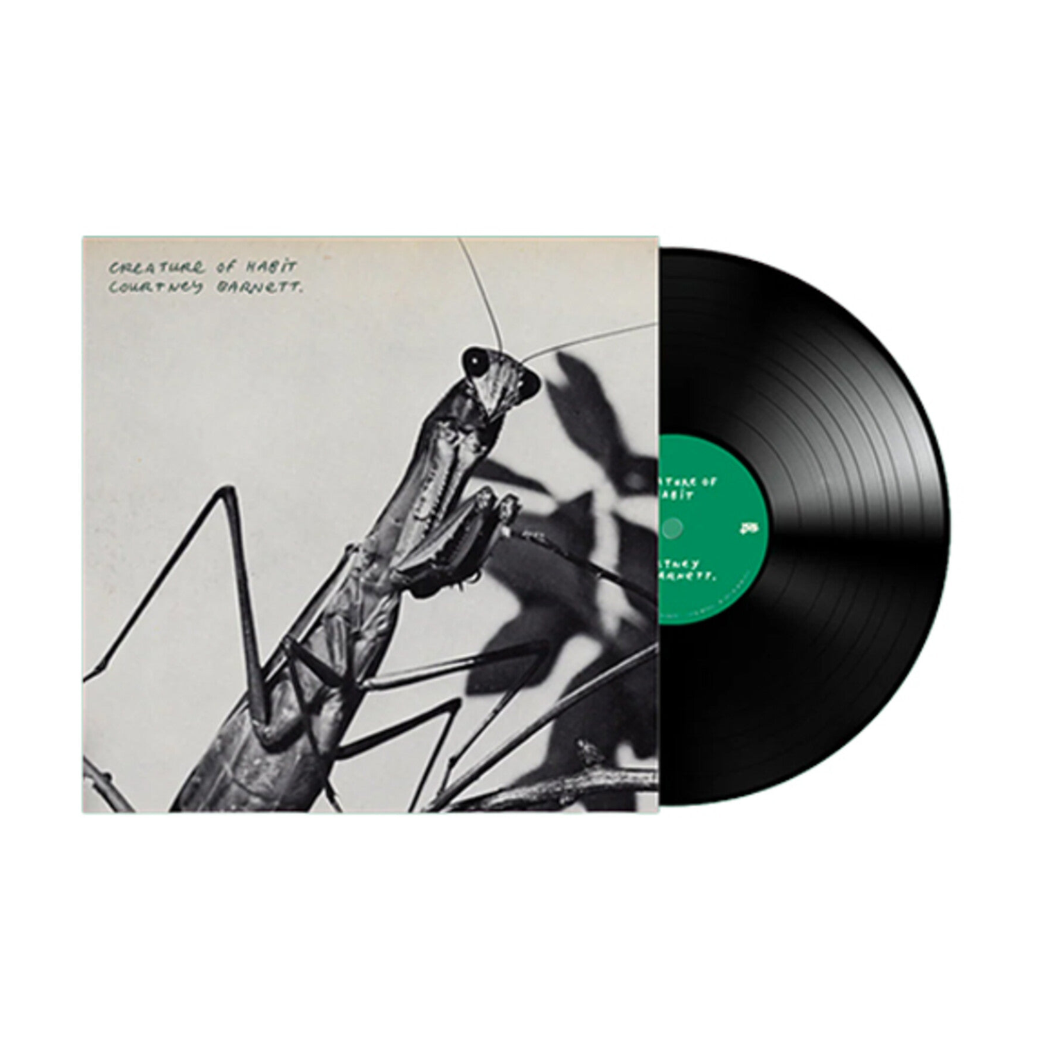 Courtney Barnett - Creature of Habit