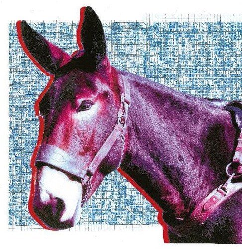 Protomartyr - Ultimate Success Today - LEVITATION