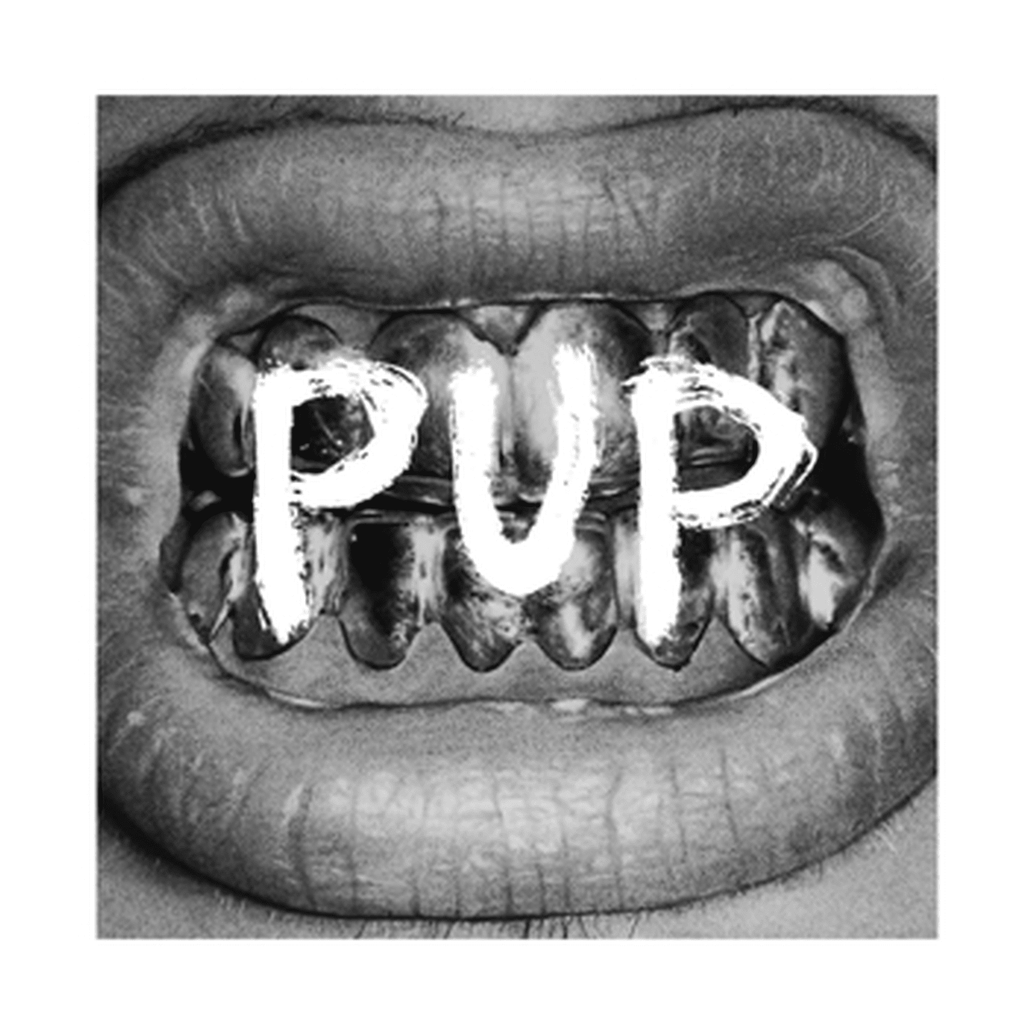 Pup - Pup - LEVITATION