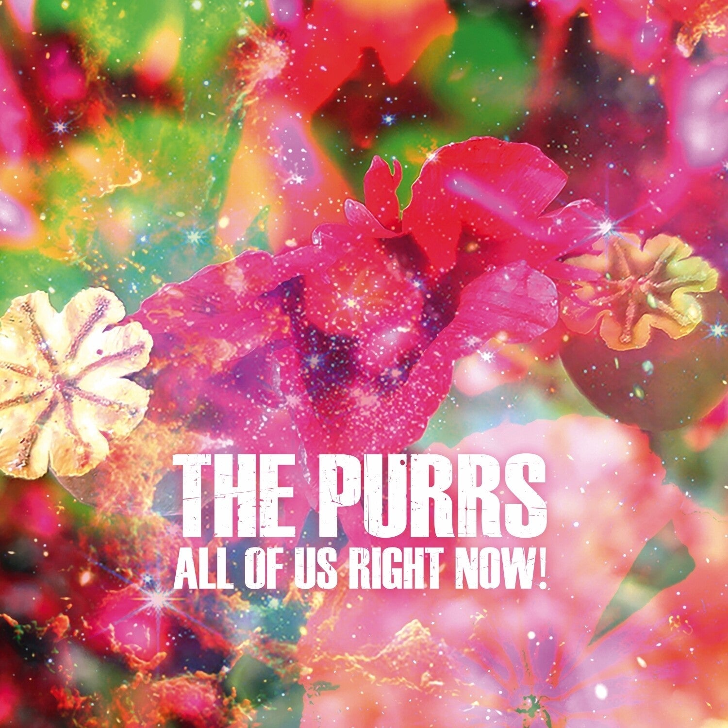 Purrs - All of Us Right Now! - LEVITATION
