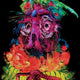 Sticky Image