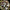 Radio Moscow - Radio Moscow - LEVITATION