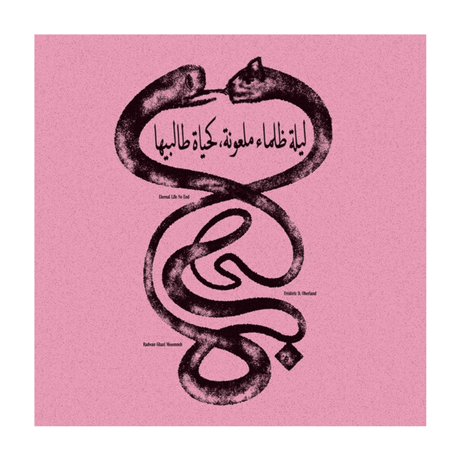 Radwan Ghazi Moumneh / Federic D. Oberland - Eternal Life No End - LEVITATION