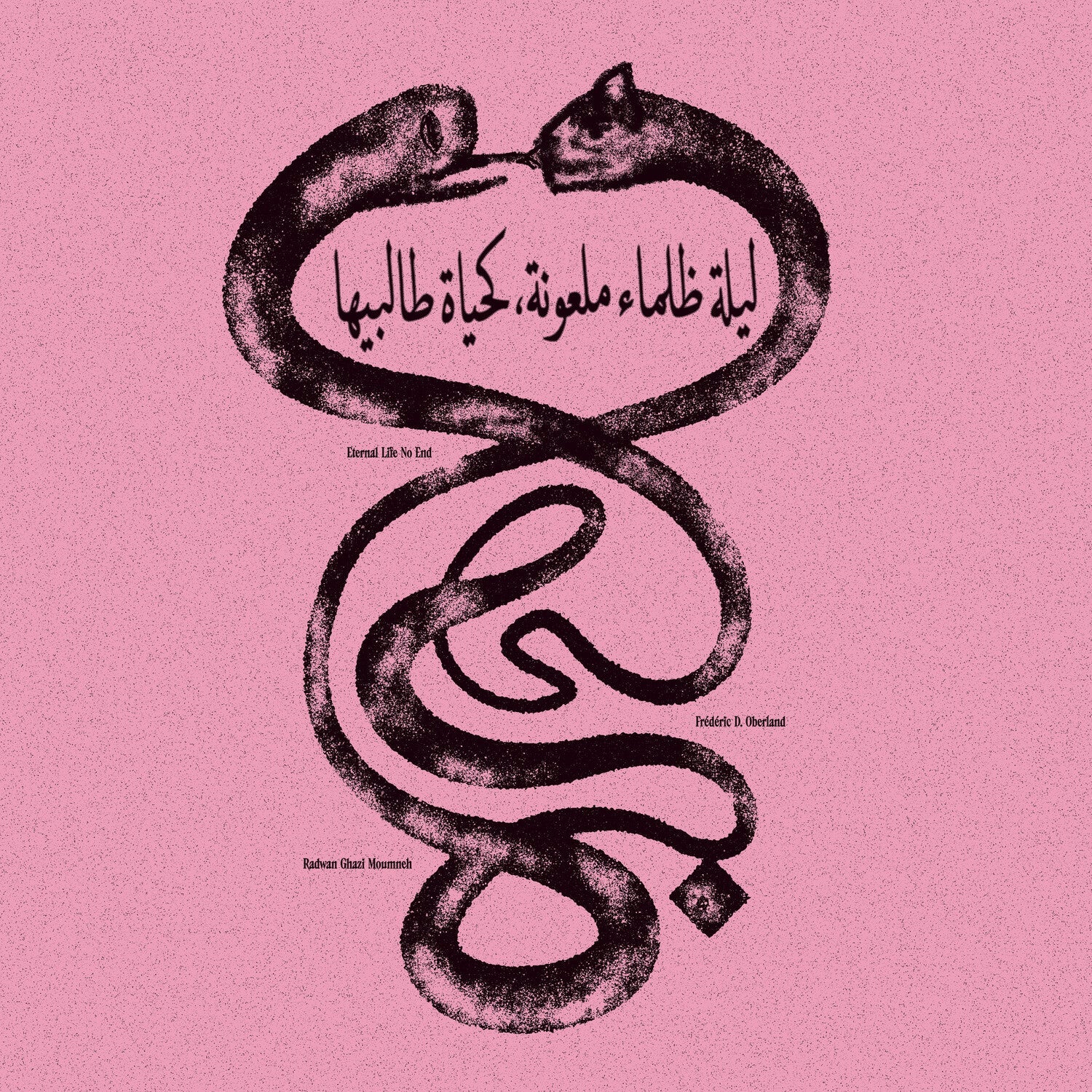 Radwan Ghazi Moumneh / Federic D. Oberland - Eternal Life No End - LEVITATION