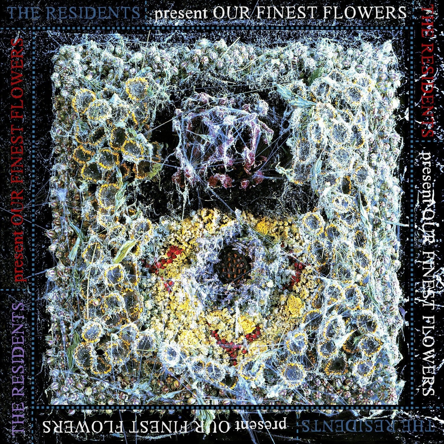 Residents - Our Finest Flowers - LEVITATION