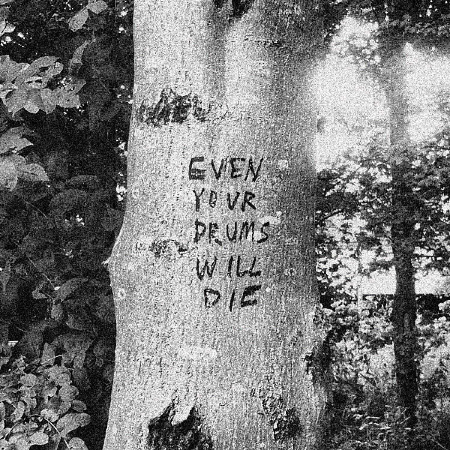 Richard Swift - Even Your Drums Will Die: Live at Pendarvis Farm 2011 - LEVITATION