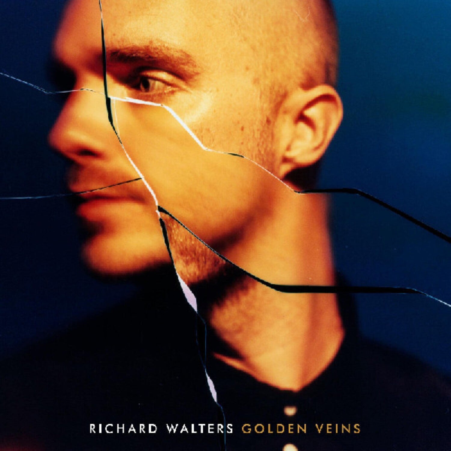 Richard Walters - Golden Veins - LEVITATION