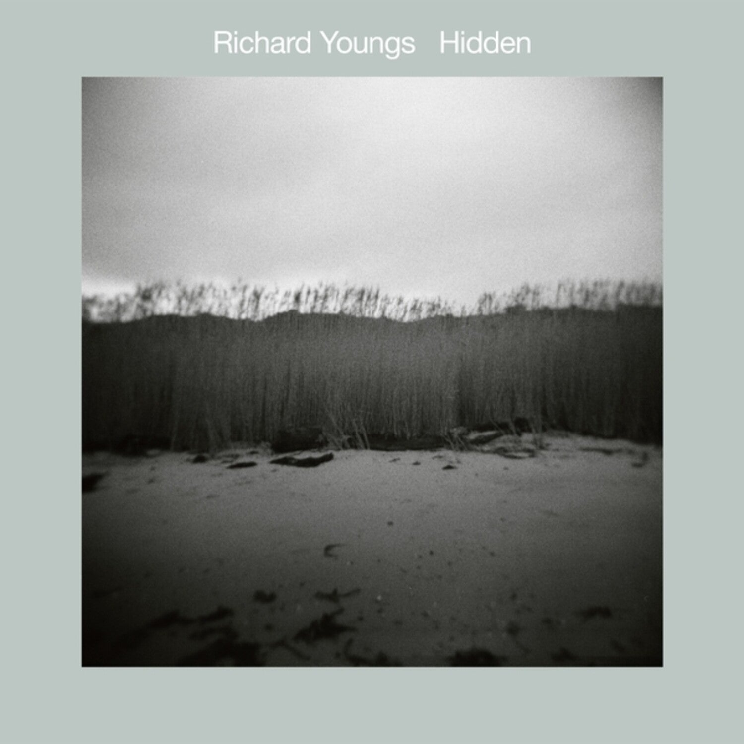 Richard Youngs - Hidden - LEVITATION