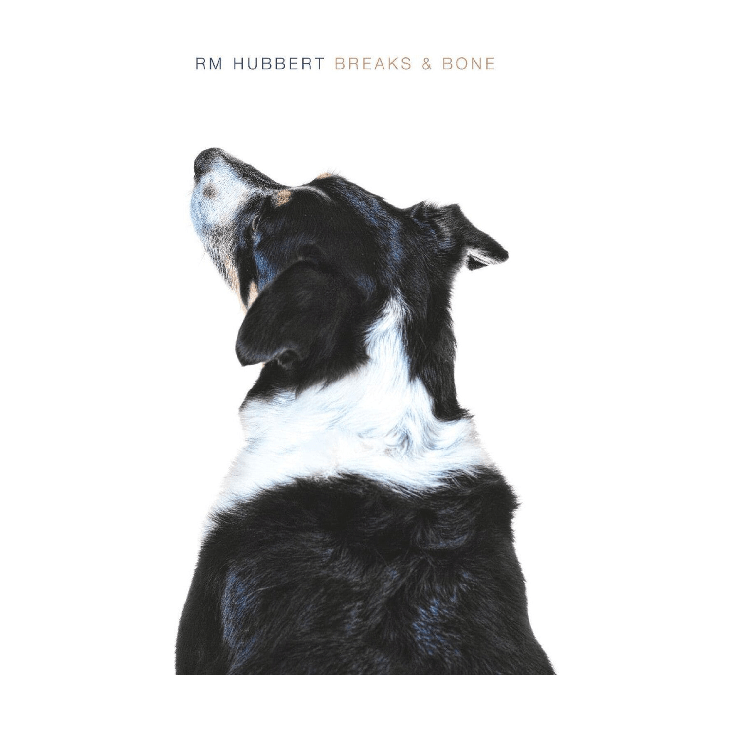 Rm Hubbert - Breaks & Bone - LEVITATION