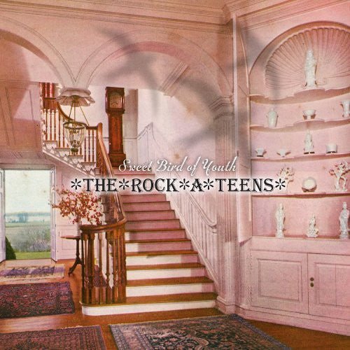 Rock-A-Teens - Sweet Bird of Youth 2xLP - LEVITATION