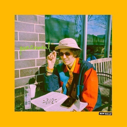 Ron Gallo - Peacemeal - LEVITATION