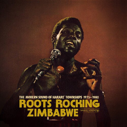 Roots Rocking Zimbabwe - The Modern Sound of / Var - Roots Rocking Zimbabwe - the Modern Sound of / Var - LEVITATION