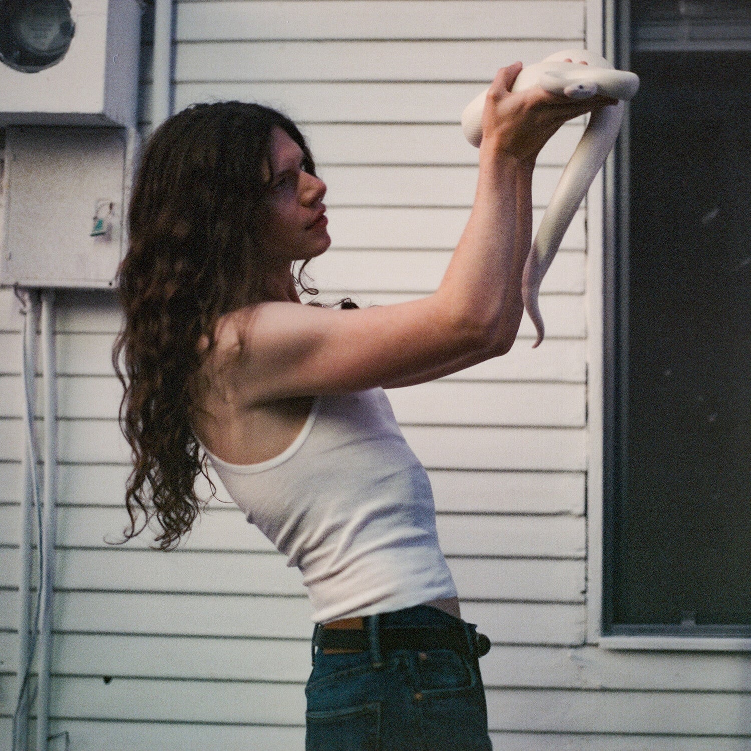 Sawyer Hill - Everybody's Home, Nobody's Happy - LEVITATION