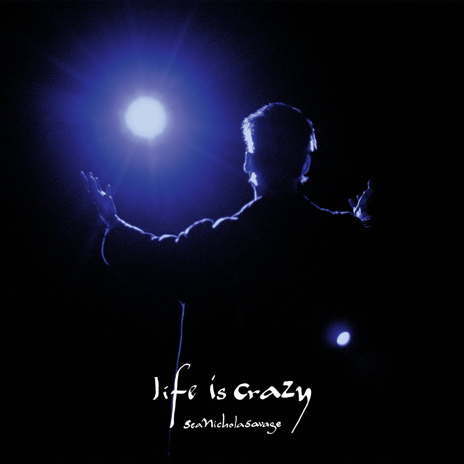 Sean Nicholas Savage - Life is Crazy - LEVITATION