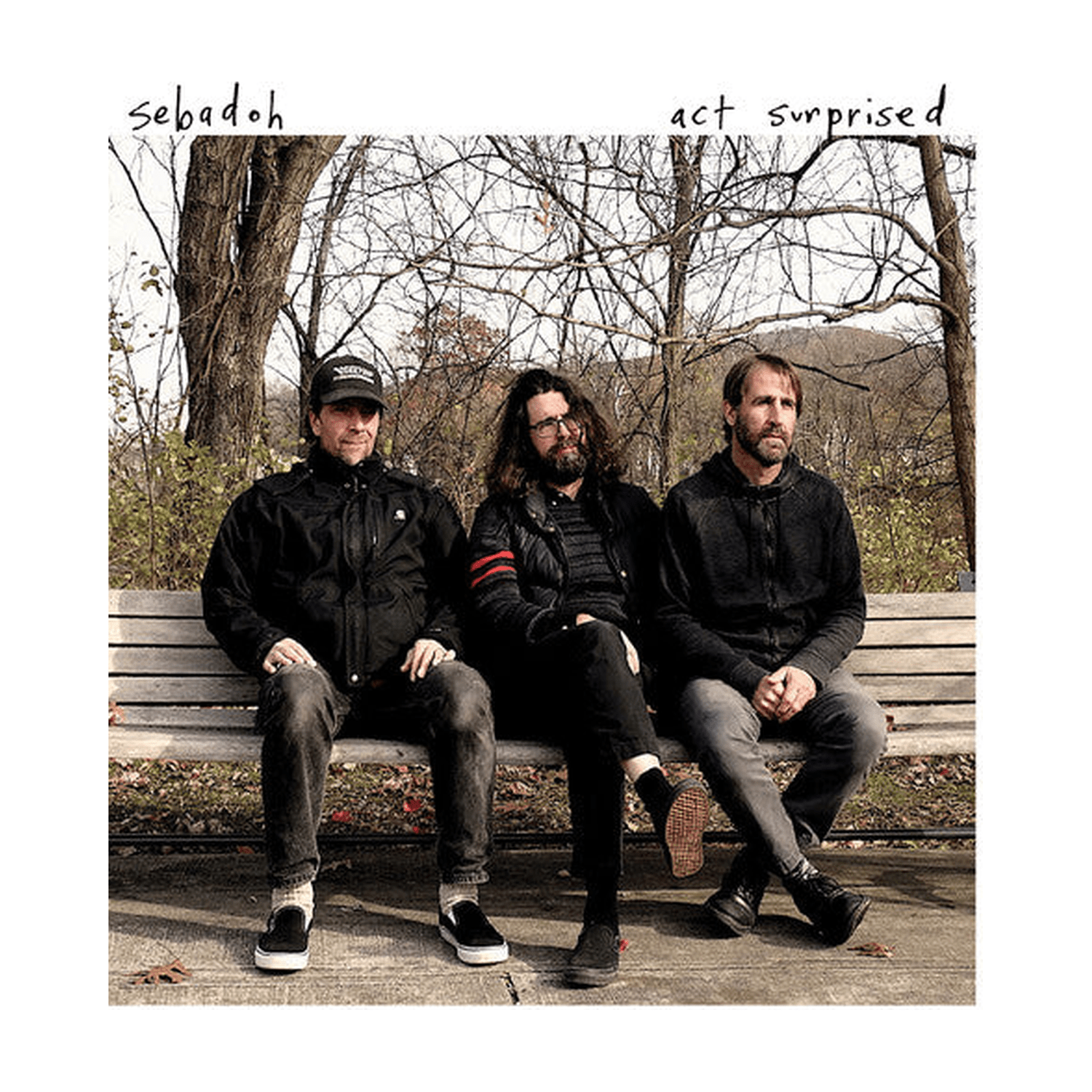 Sebadoh - Act Surprised - LEVITATION