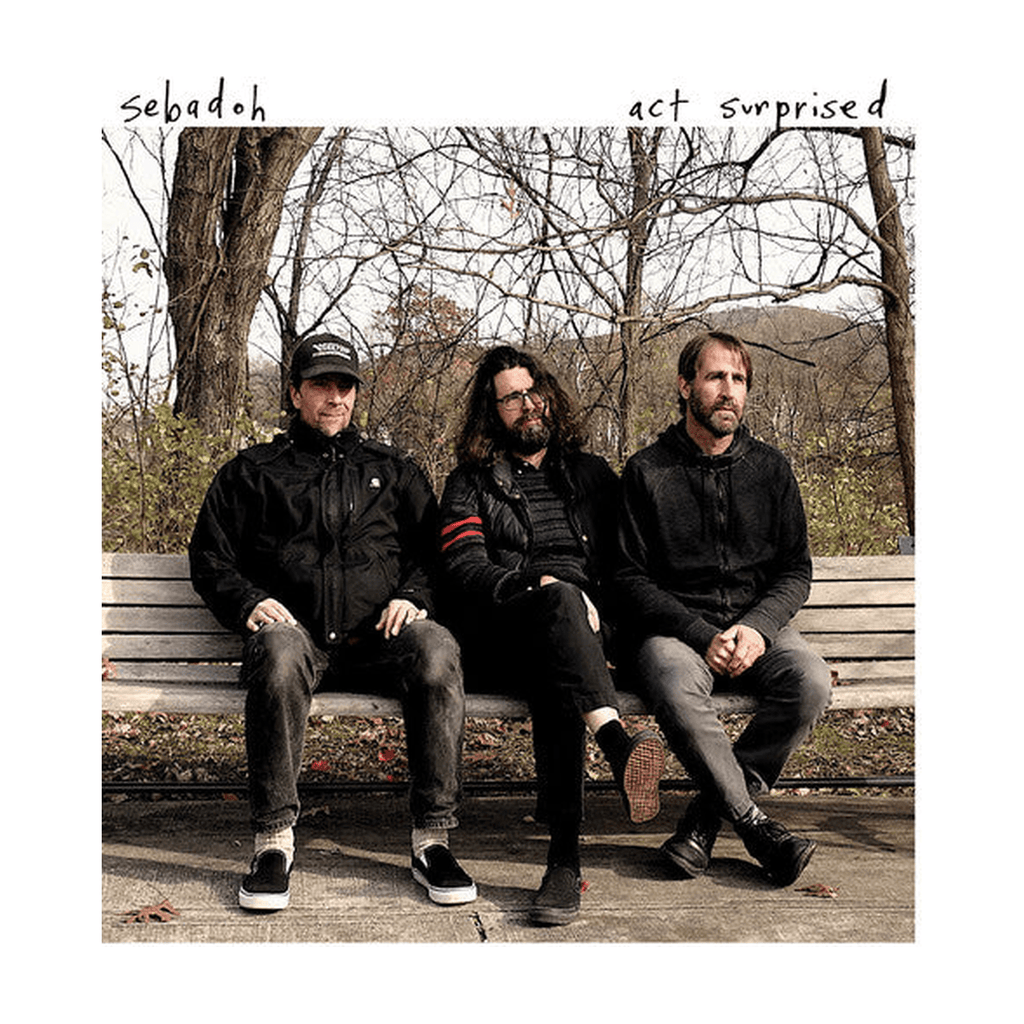 Sebadoh - Act Surprised - LEVITATION