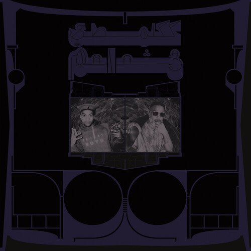 Shabazz Palaces - Exotic Birds of Prey - Translucent White - LEVITATION