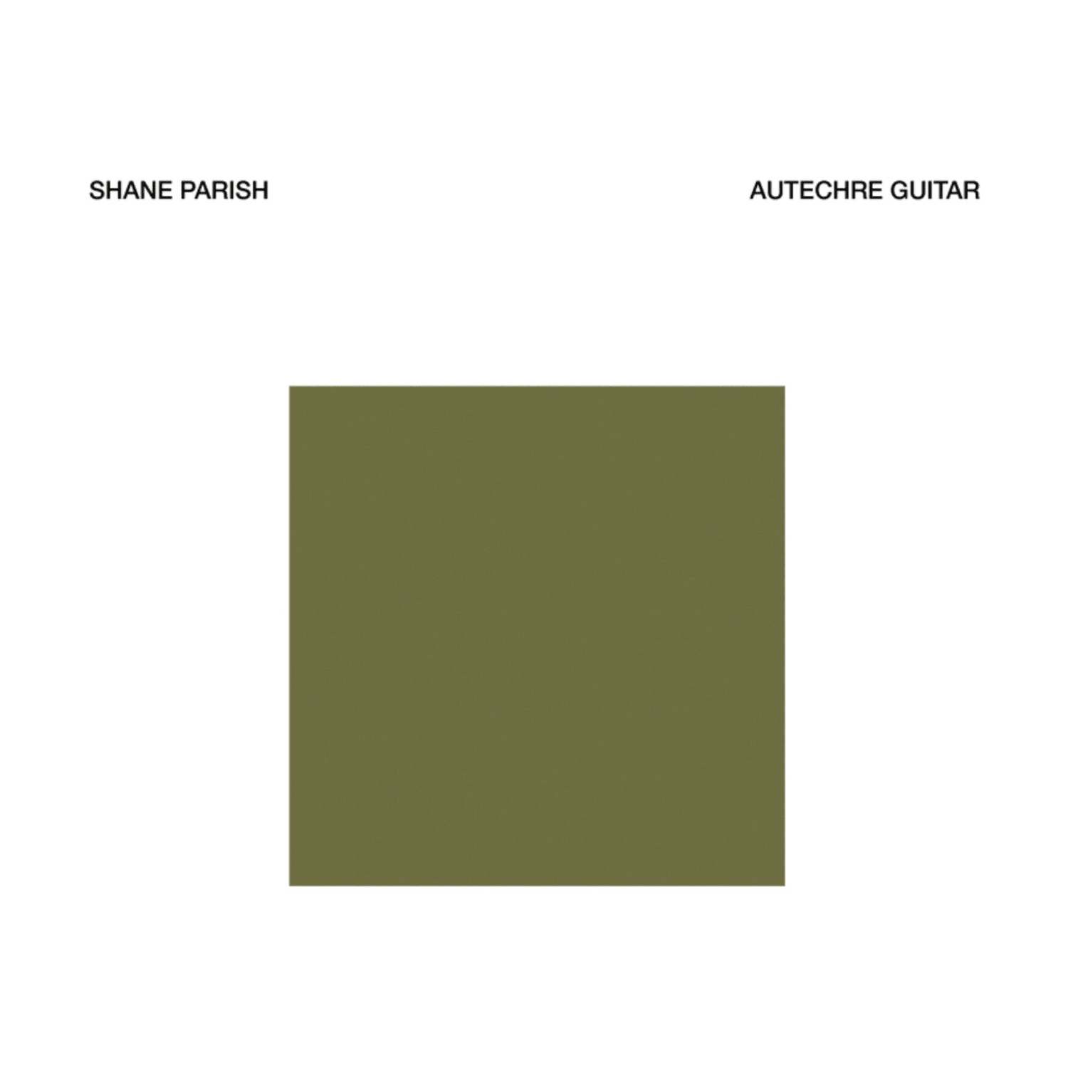 Shane Parish - Autechre Guitar - LEVITATION