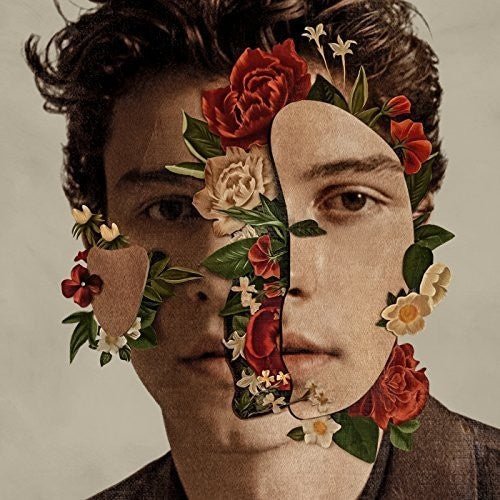 Shawn Mendes - LEVITATION