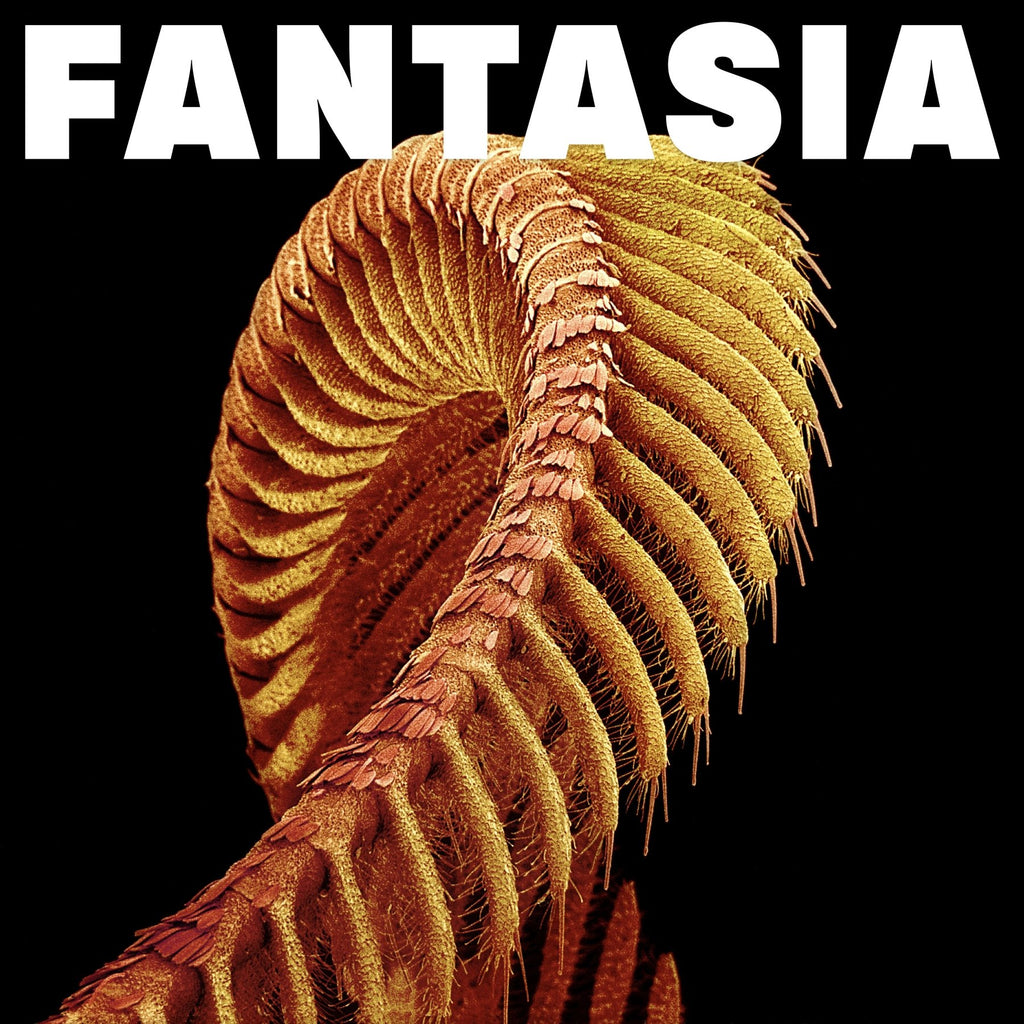 SLIFT - Fantasia - 2xLP (Levitation Edition) – LEVITATION