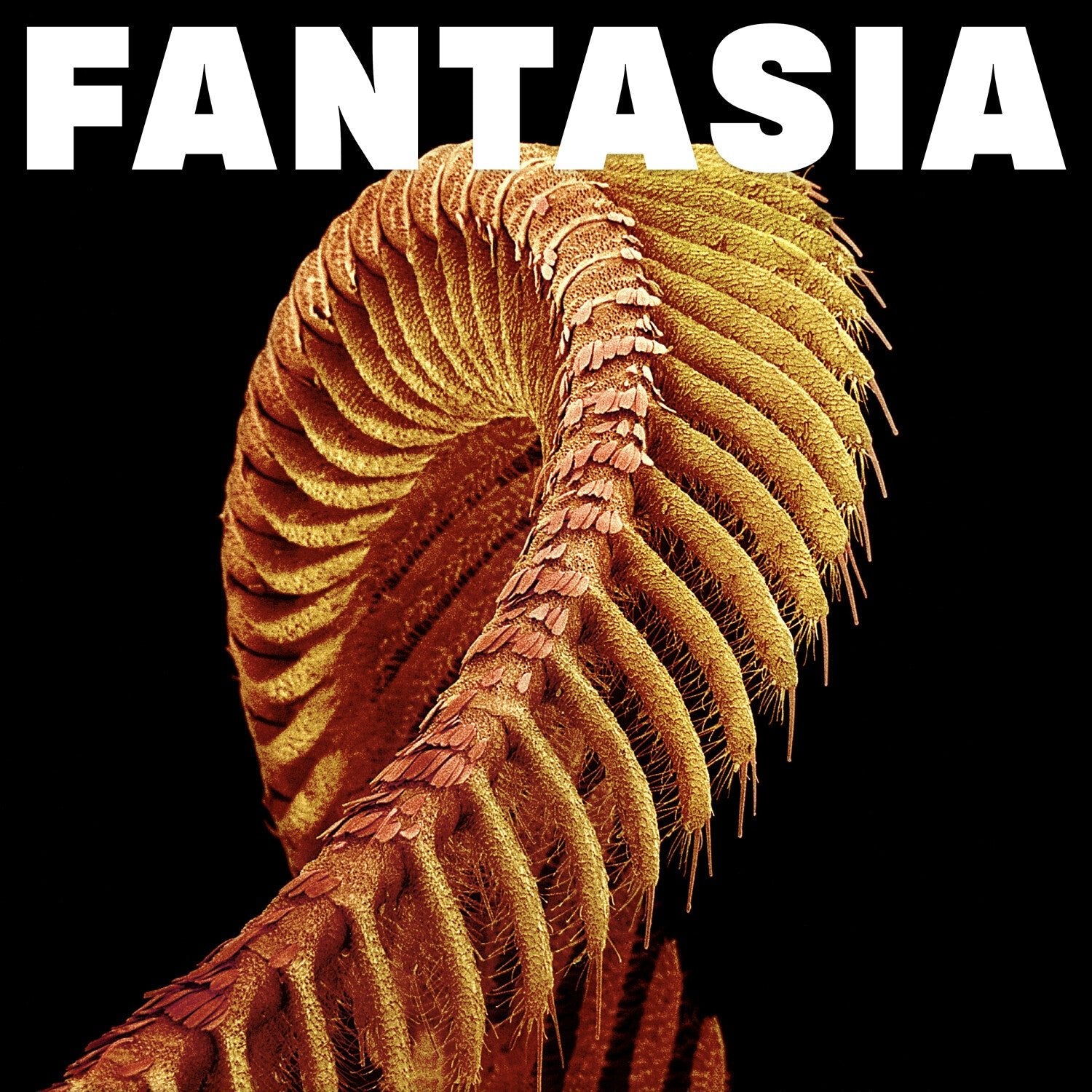 Slift - Fantasia 2xLP (Yellow Vinyl) - LEVITATION