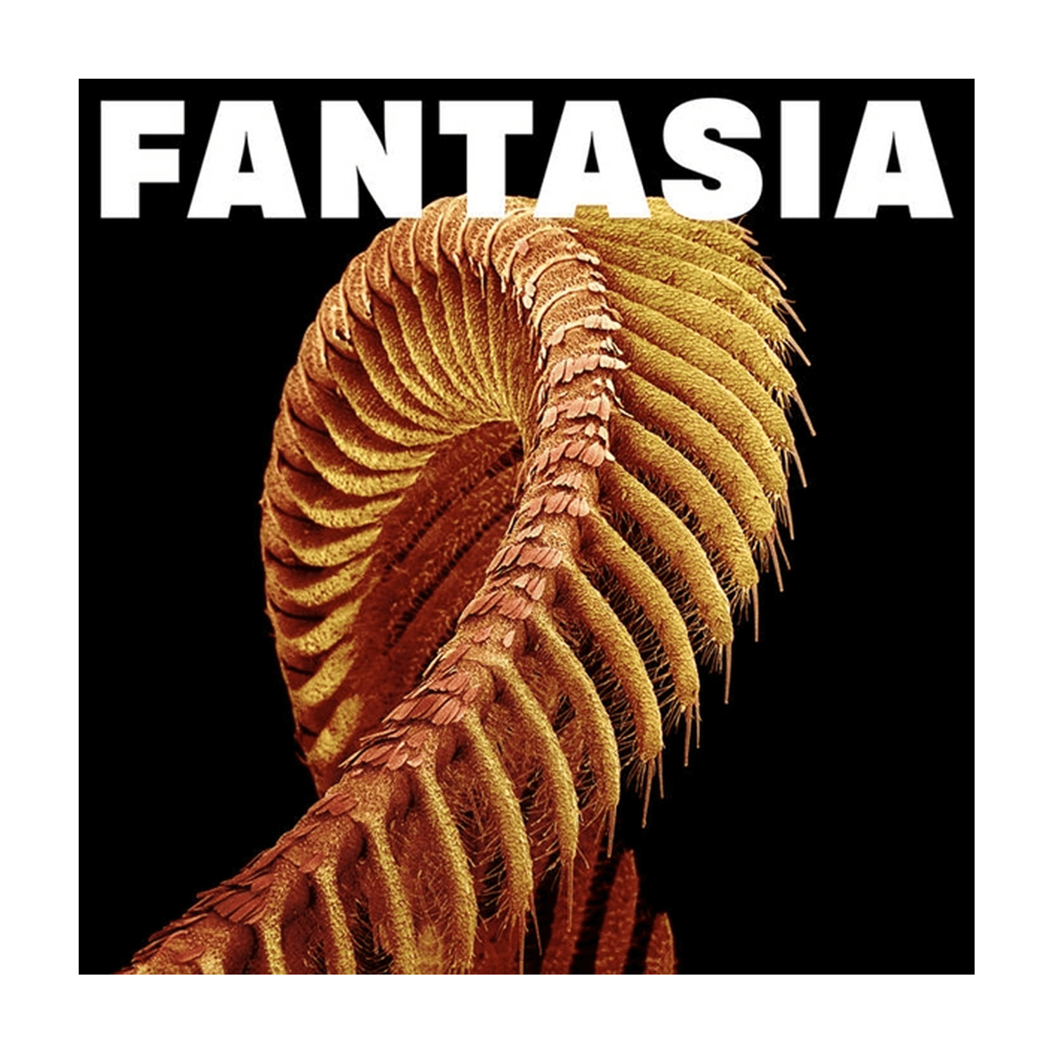 Slift - Fantasia 2xLP (Yellow Vinyl) - LEVITATION