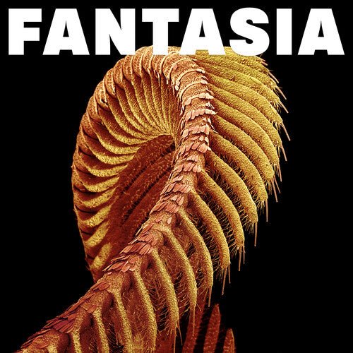 Slift - Fantasia - Yellow - LEVITATION