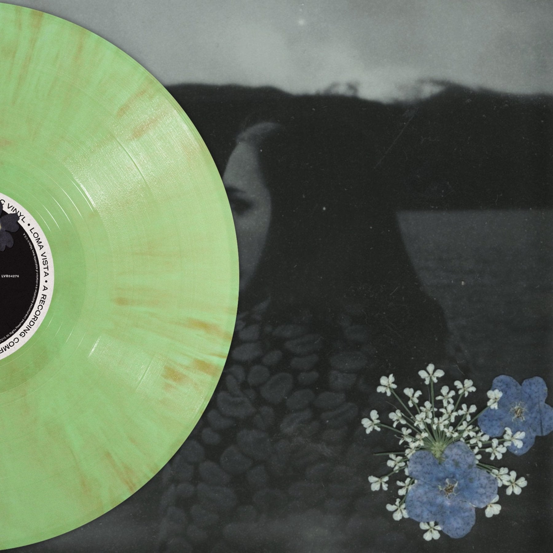 欧LP Soccer Mommy Evergreen 00888072621817 LOMA VISTA /00400 Soccer Mommy - Evergreen (Levitation Edition) – LEVITATION