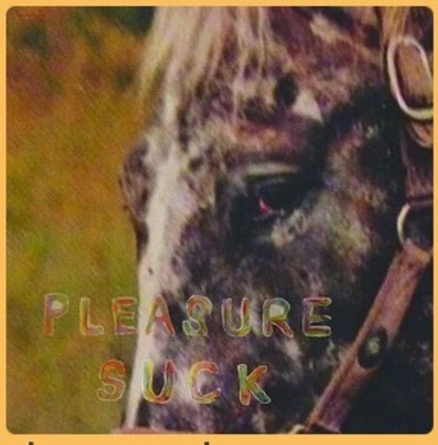 Spirit of The Beehive - Pleasure Suck - LEVITATION