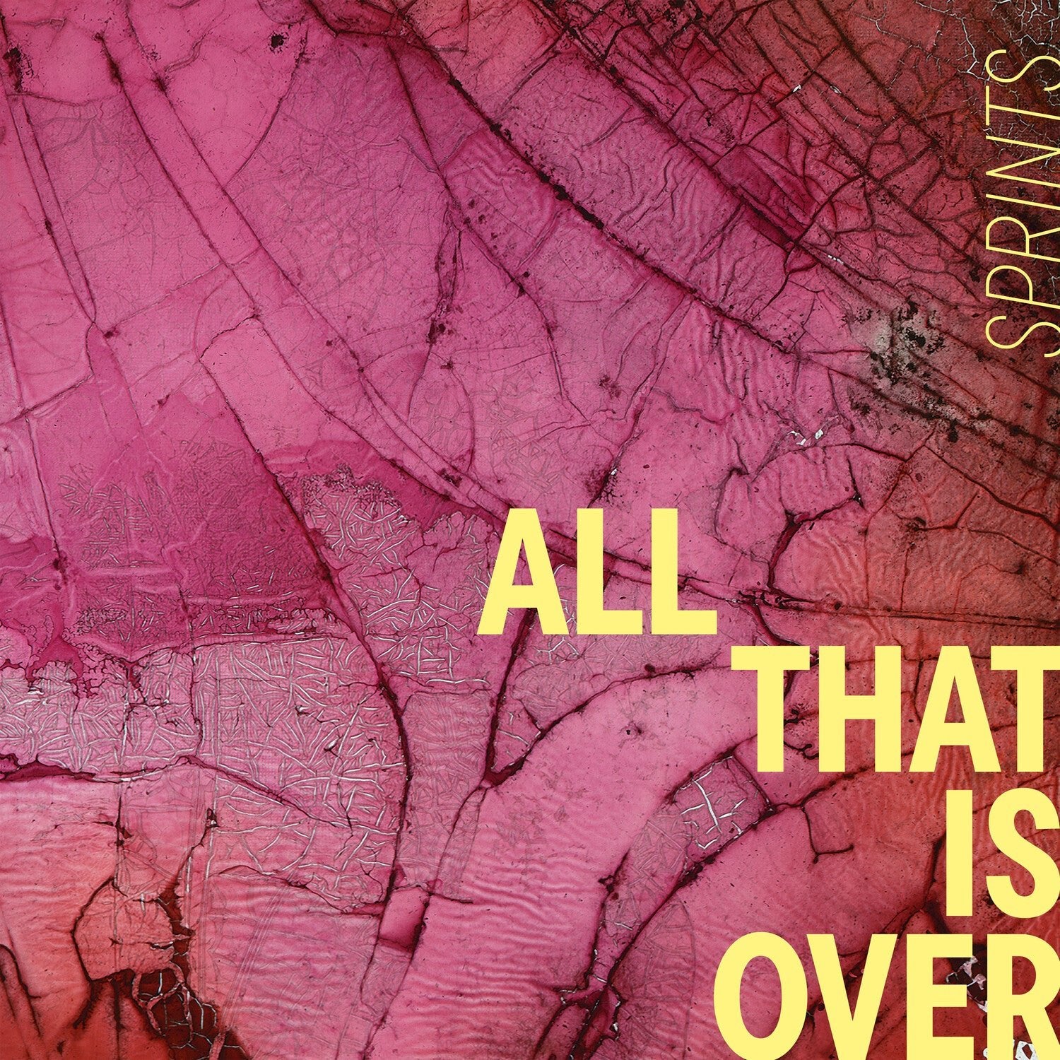 Sprints - All That is Over - Pink Marble (Pink Vinyl) - LEVITATION