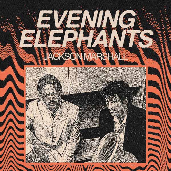 Evening Elephants