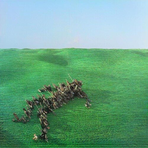 Squid - Bright Green Field - LEVITATION