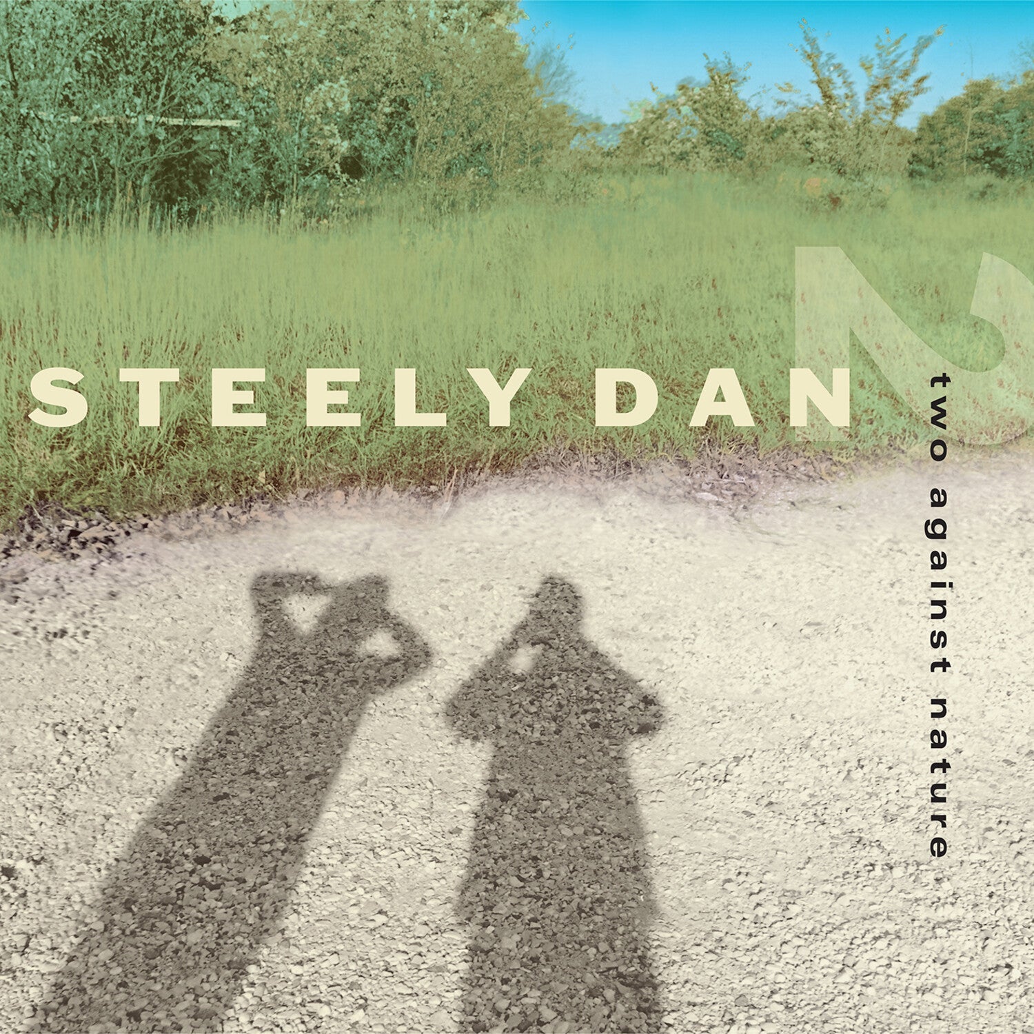 Steely Dan - Two Against Nature - LEVITATION