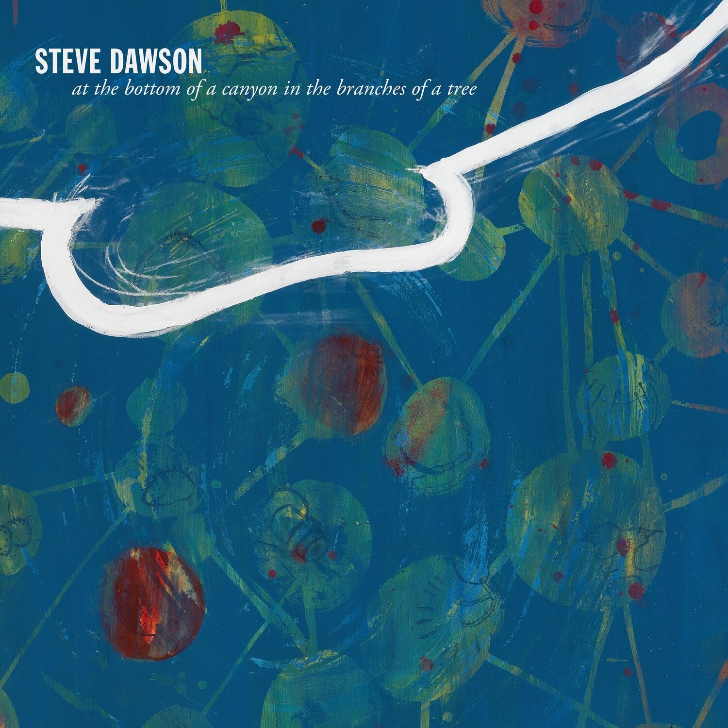 Steve Dawson - At the Bottom of a Canyon in the Branches of Tree - LEVITATION