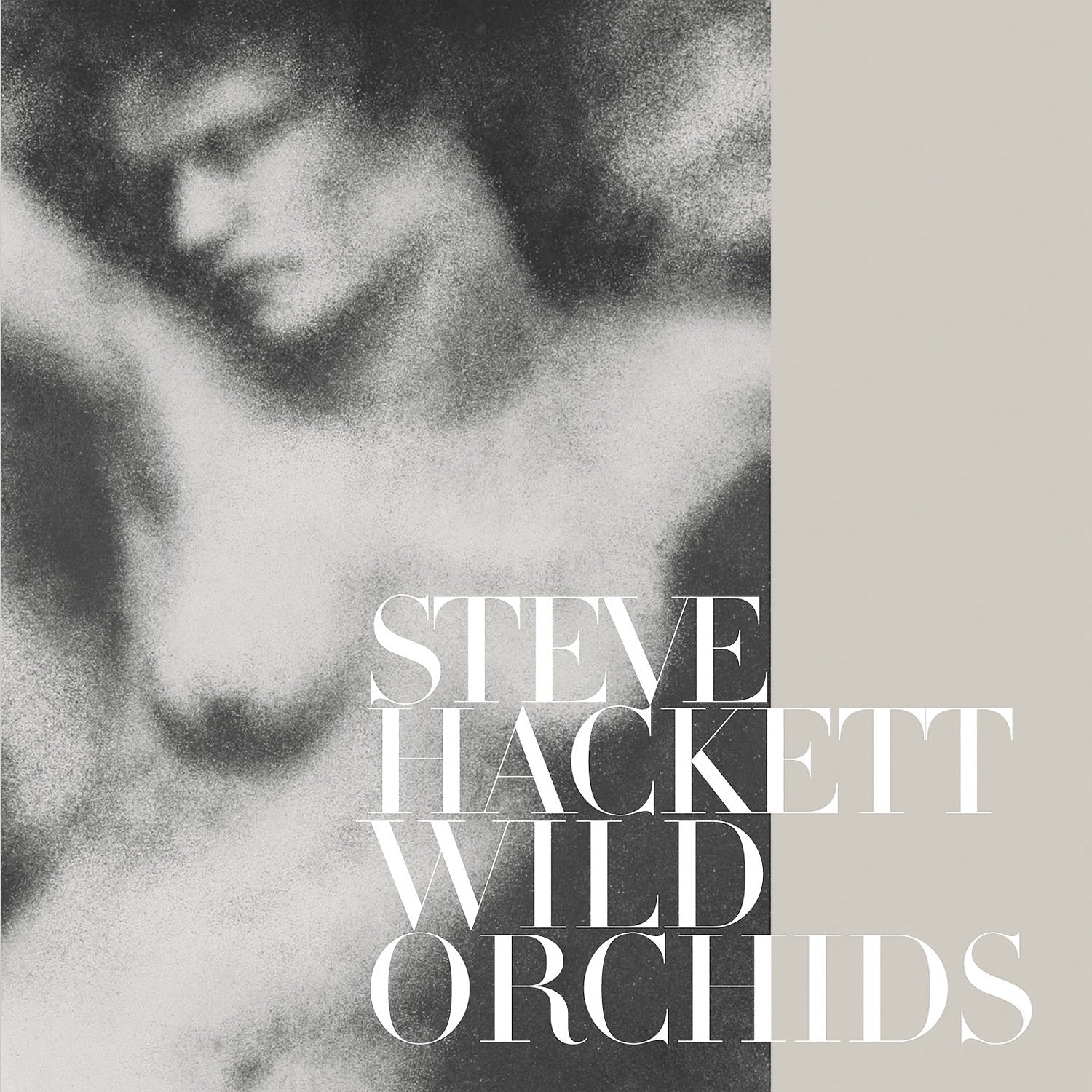 Steve Hackett - Wild Orchids - Ltd Red Vinyl - Ltd. Gatefold Red 2xLP (Red Vinyl) - LEVITATION