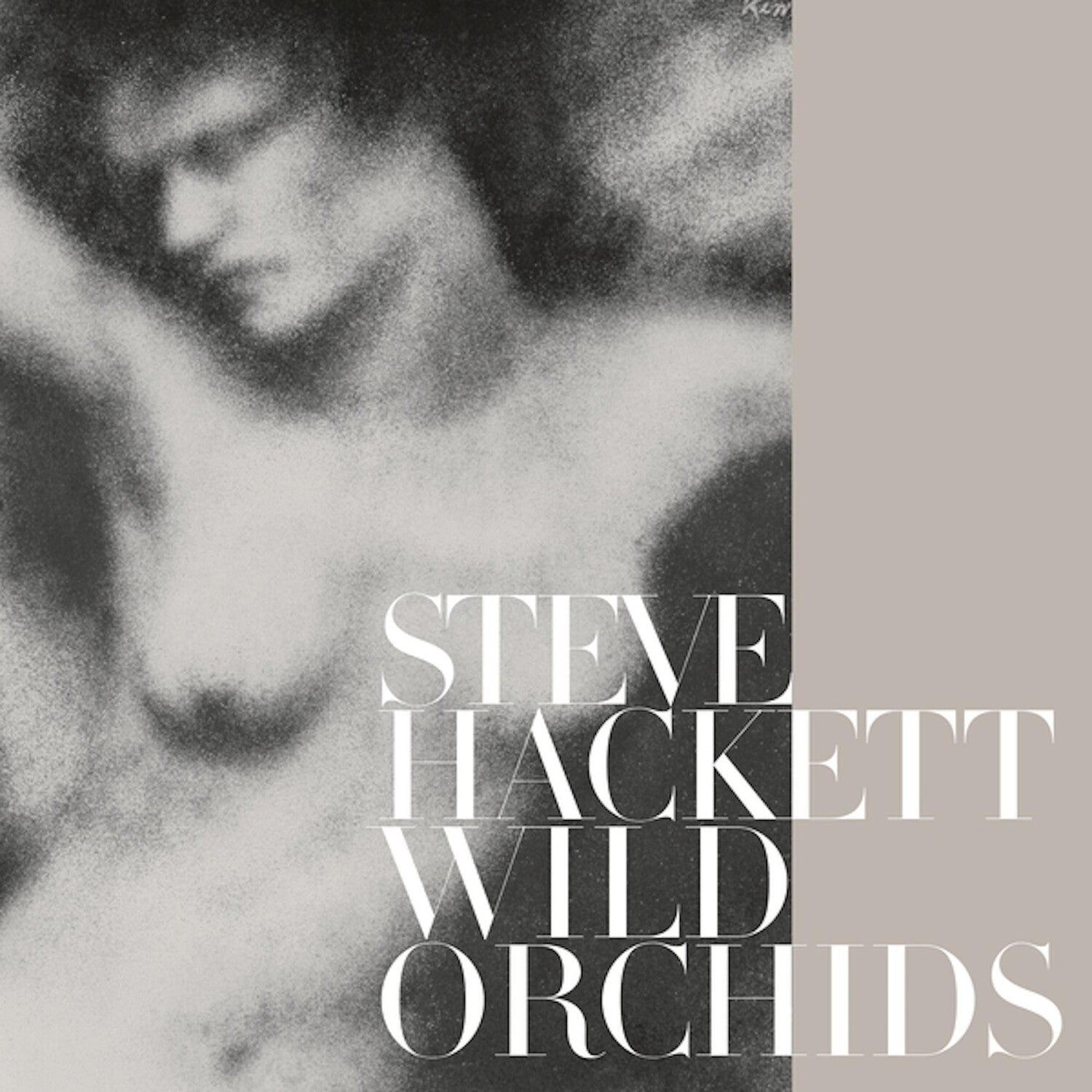 Steve Hackett - Wild Orchids (Reissue) - LEVITATION