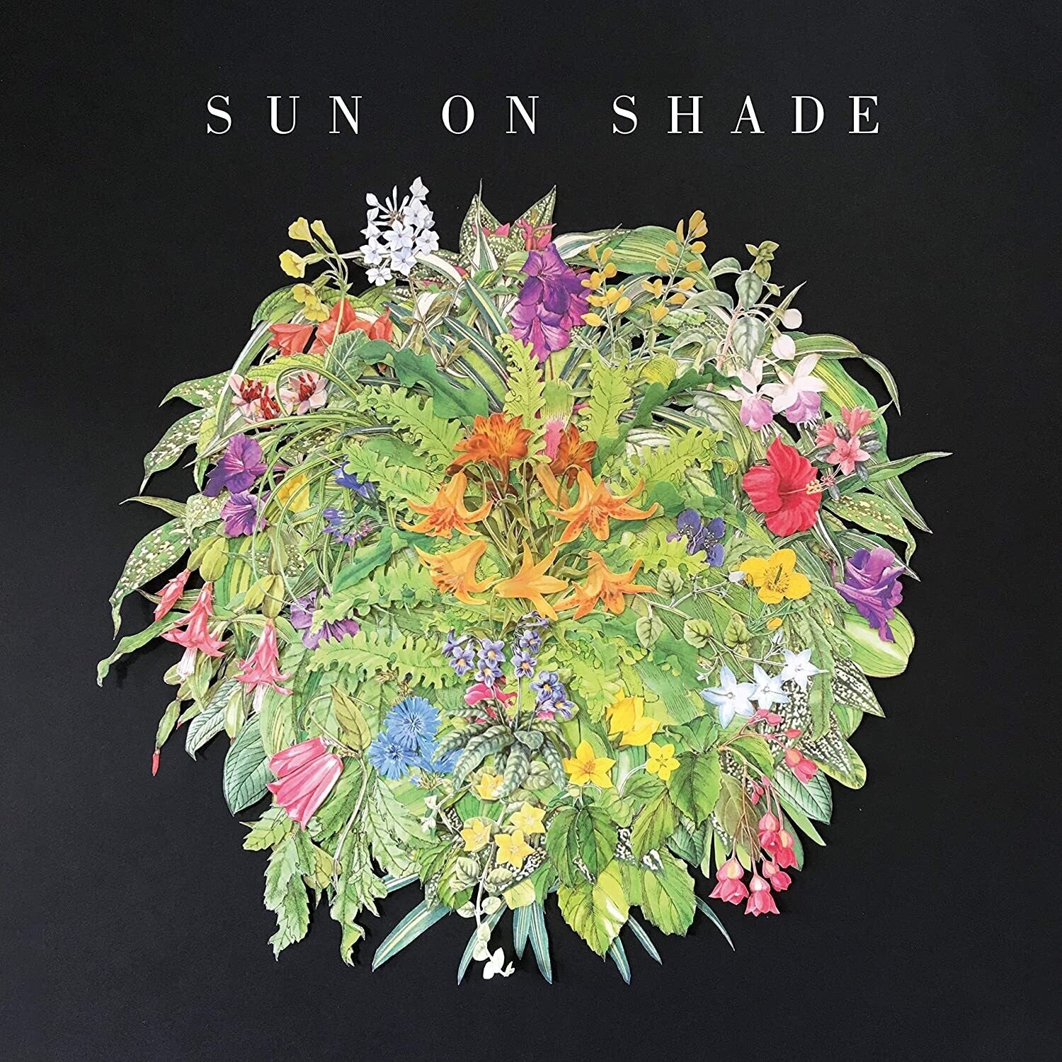 Sun On Shade - LEVITATION