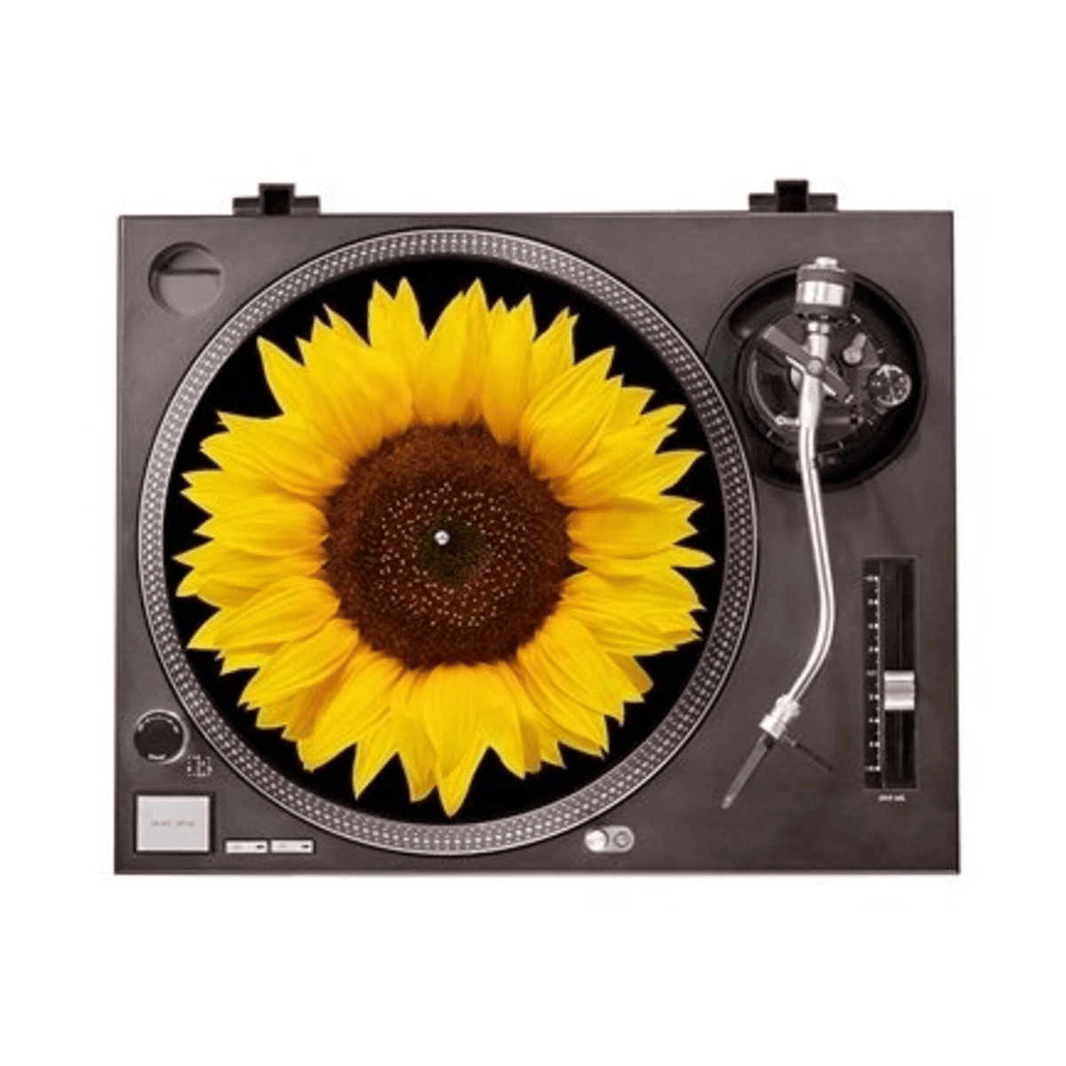 Sunflower - Graphic Turntable Slip Mat - LEVITATION