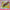Sweeping Promises - You Say I Romanticize (Cd) - LEVITATION