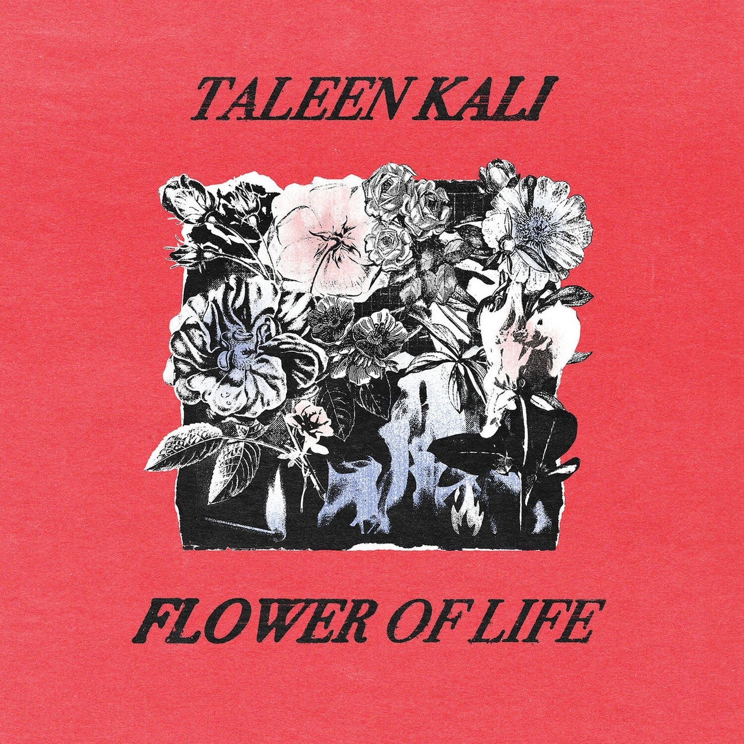 Taleen Kali - Flower of Life - LEVITATION