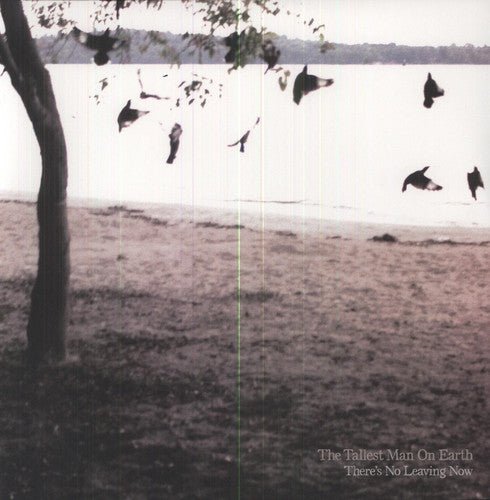 Tallest Man On Earth - There's No Leaving Now - LEVITATION